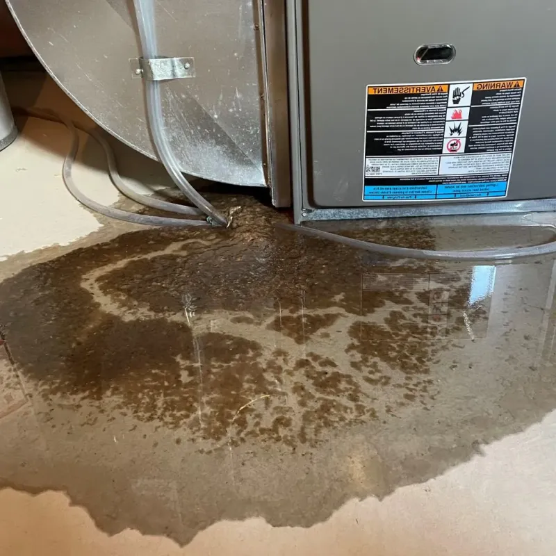 Pipe Burst and Leak Restoration in Tazewell, TN