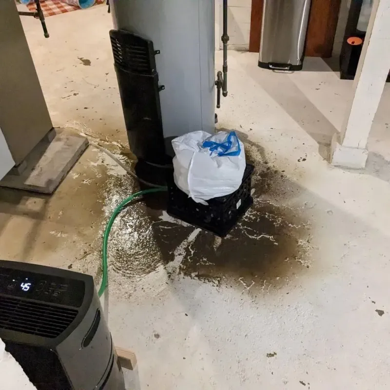 Sewage Backup Cleanup Service in Tazewell, TN